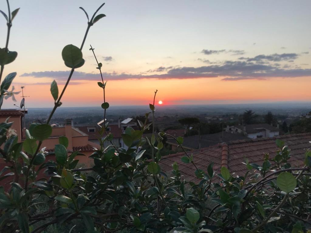 Villa Maximo Apartment Albano Laziale Kültér fotó