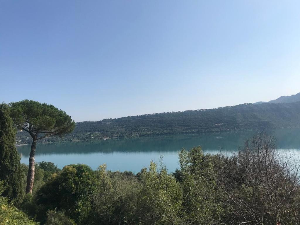 Villa Maximo Apartment Albano Laziale Kültér fotó